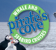Pirate's Cove Whale and Seabird Cruises